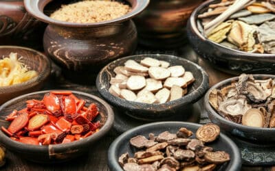 Nourishing the Body with Food Therapy in Chinese Medicine